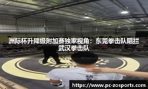 中欧体育