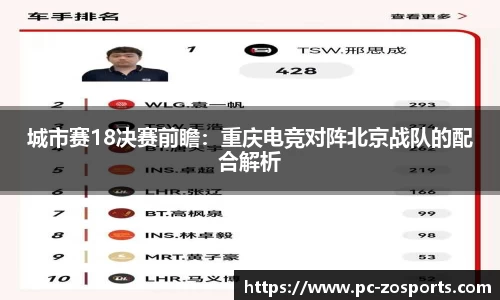 中欧体育公司