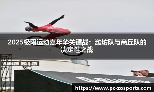 中欧体育公司